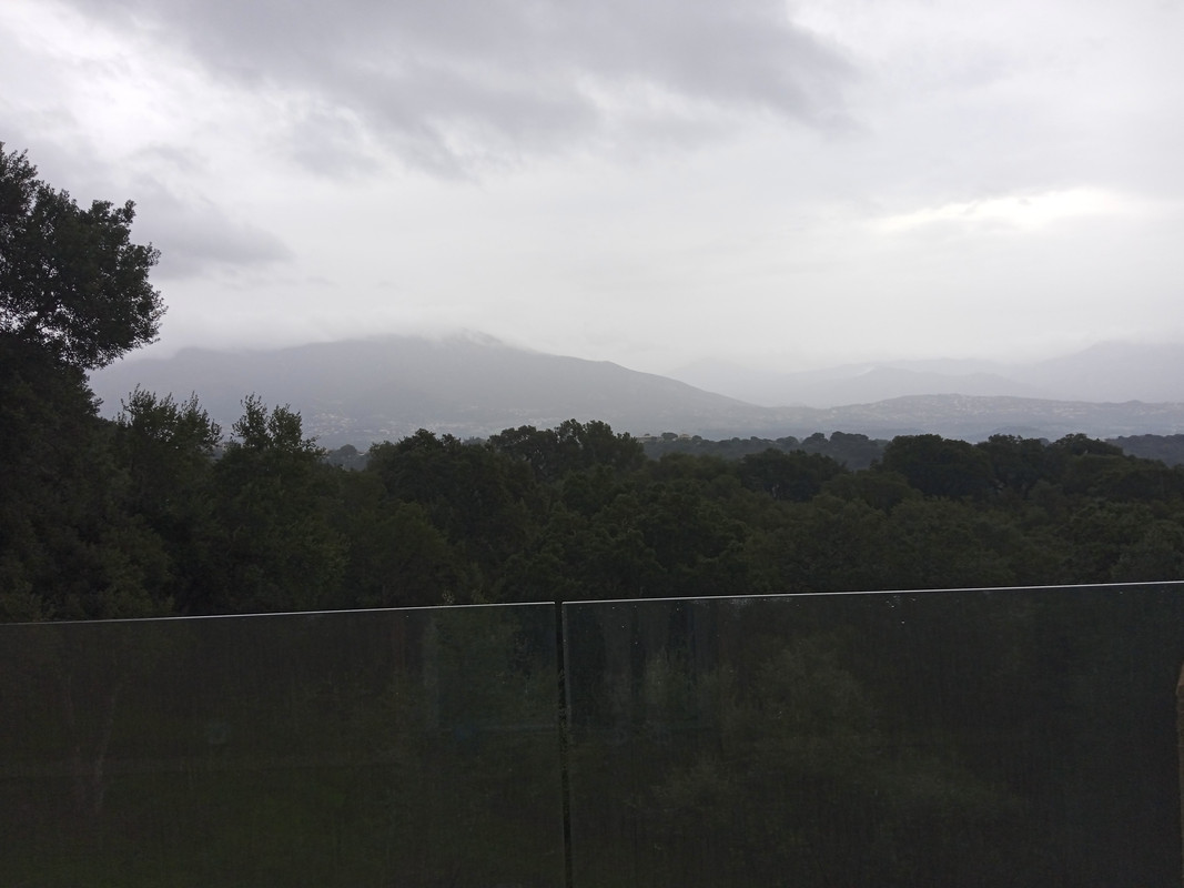 IMG_20240117_095021_1