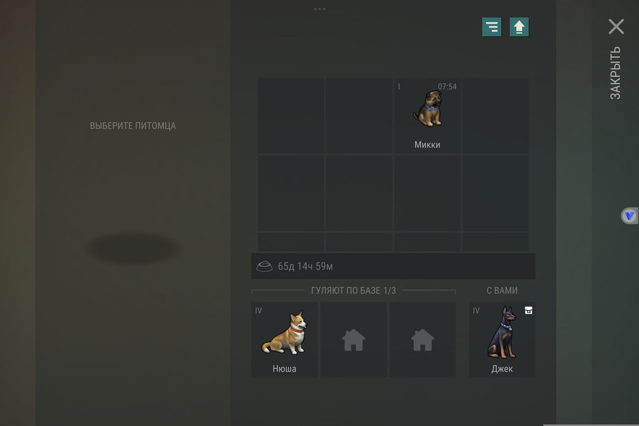 tvxmas91lkegxzgeu8bm