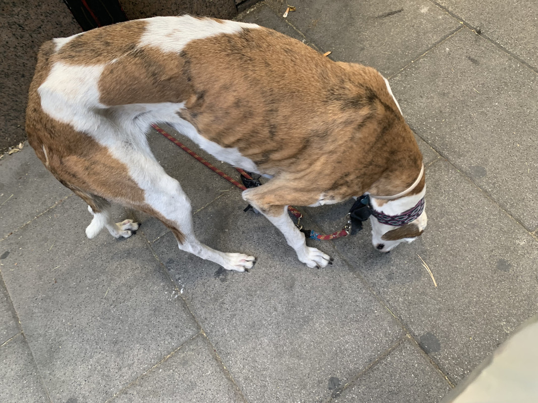 AF09702A-1DFD-4962-BDBC-09107DA6B349