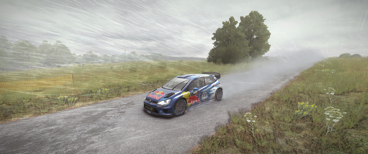 Di-RT-Rally-2022-03-06-21-47.png