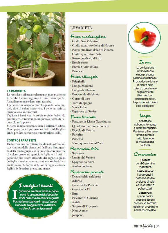Orto Facile - Il Mio Orto Pratico - Feb-Mar 2025 (4)