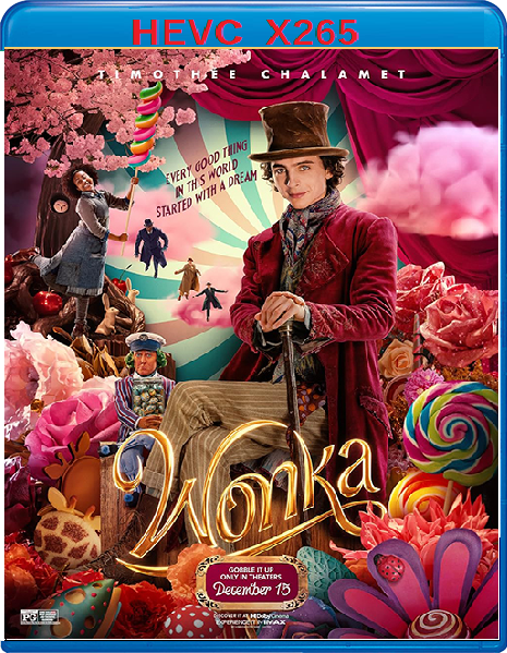 Wonka (2023) mkv FullHD 1080p HEVC AC3 ITA ENG Sub