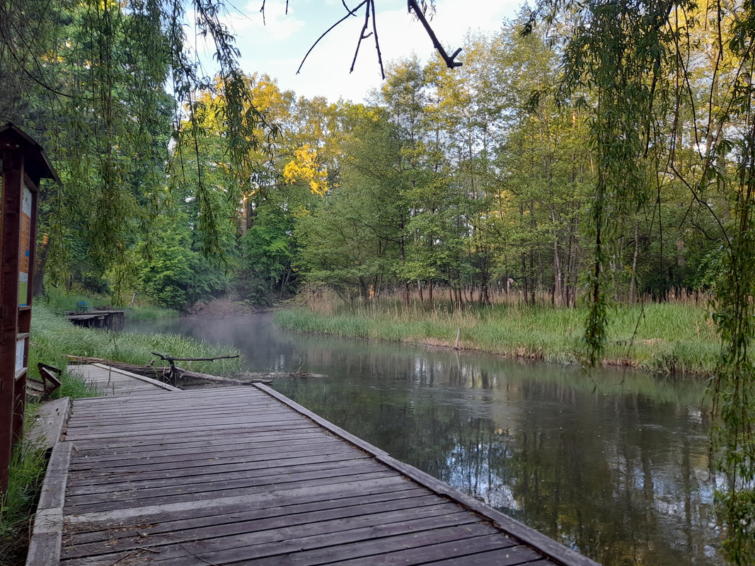 02.01 - 20210531_052919 (Aldona)