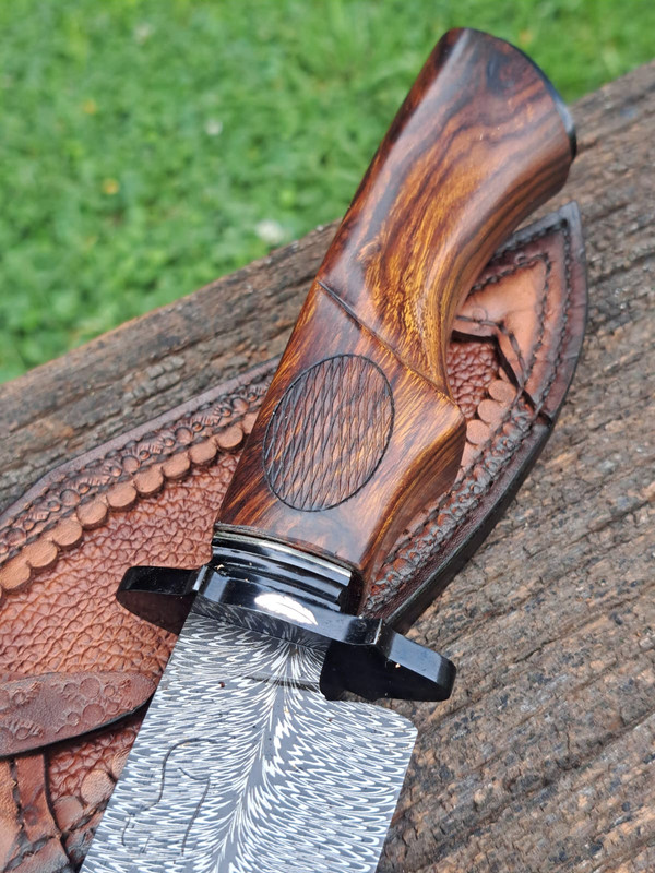 WhatsApp Image 2024-11-07 at 11.54.42 (1)