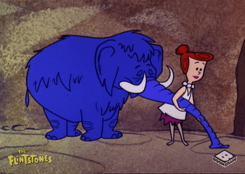 wilma.gif