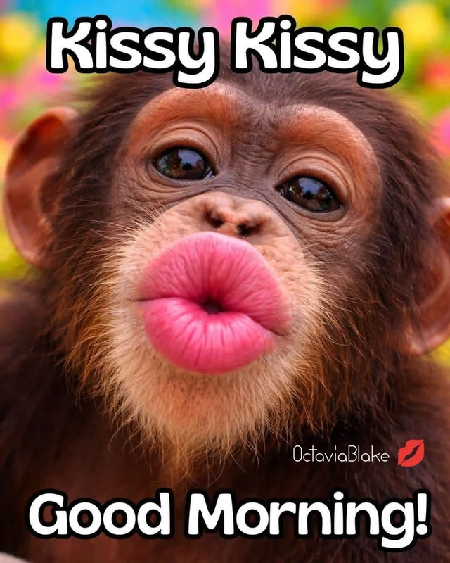 photostudio-1774077111815