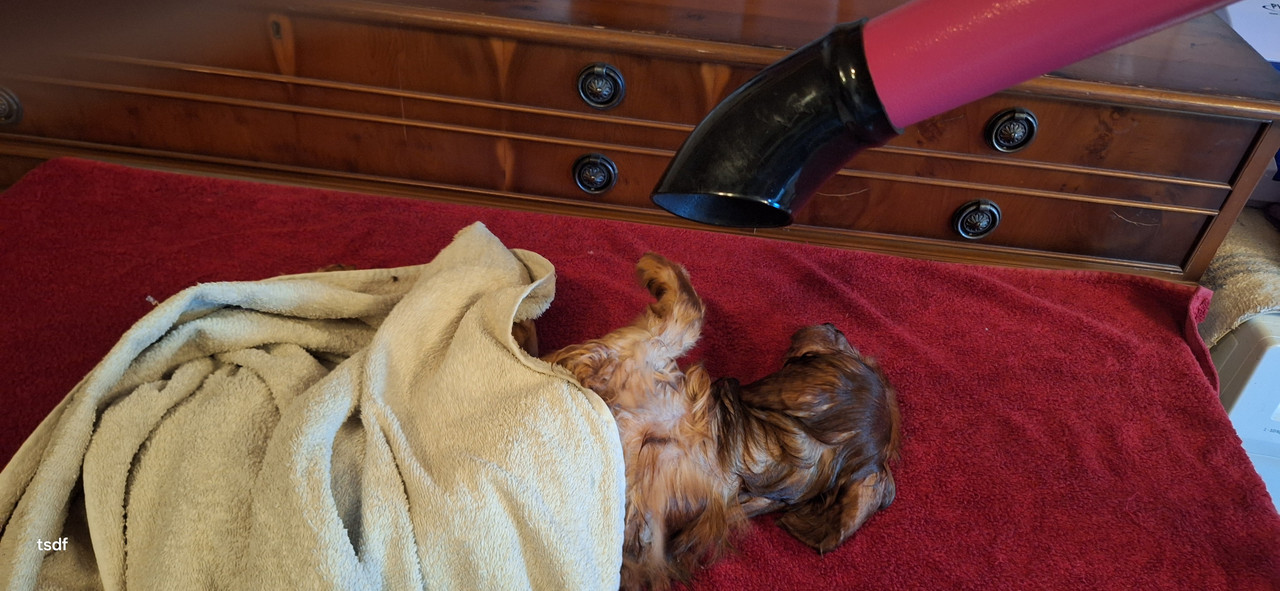 [Image: 20250719-095451.jpg]