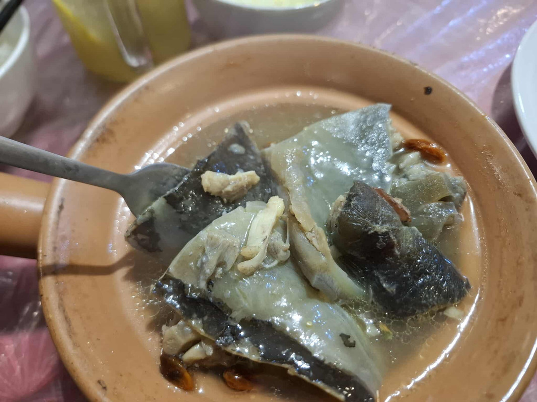 552588119_1333490314795234_6342678426725173749_n