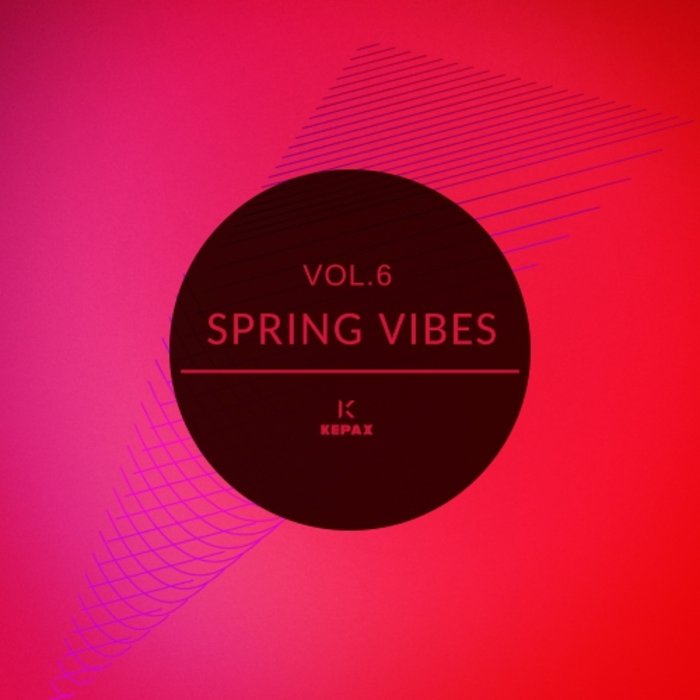 Spring Vibes Vol 6 (2020) mp3 320 Kbps
