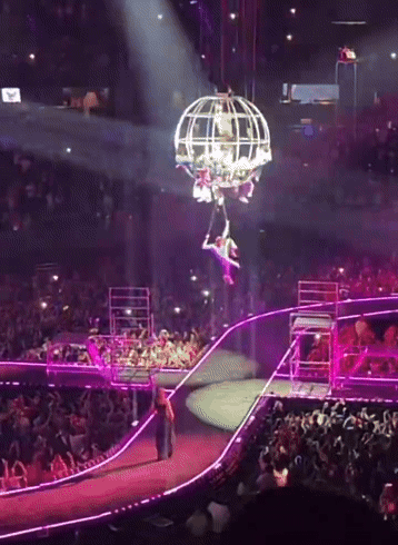 ezgif-1583153955a732.gif