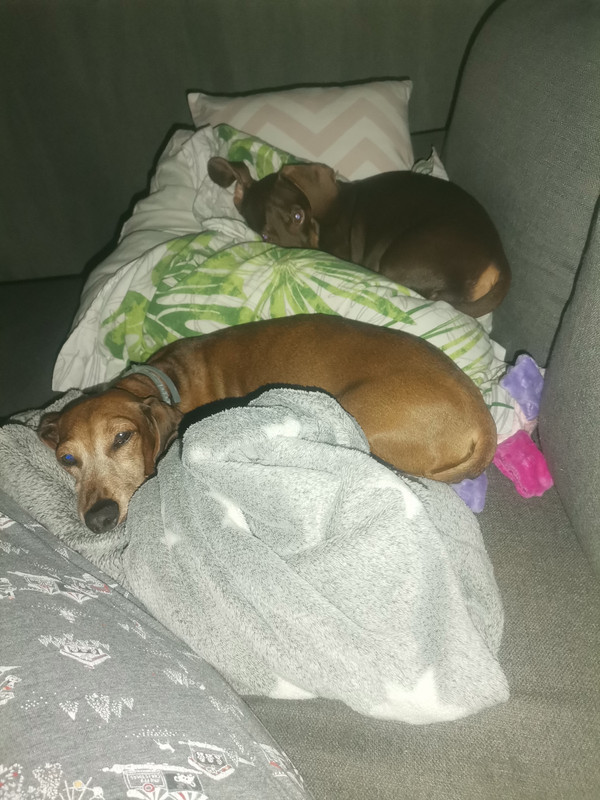 [Image: IMG-20210909-211303.jpg]