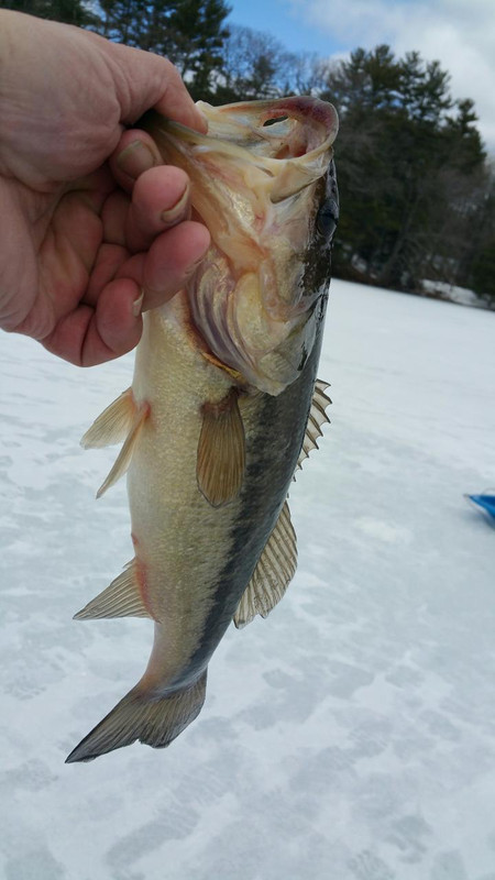 20180325_2 lb