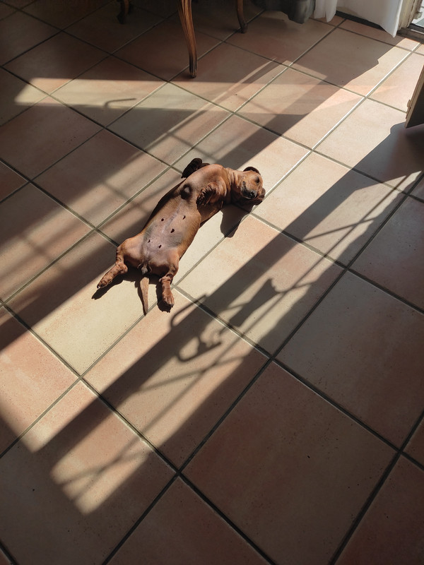 [Image: IMG-20240605-171150.jpg]