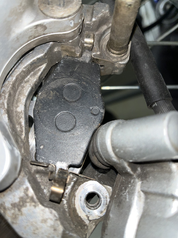 32E55A89-1B6B-493F-AA36-A8C3B2774609