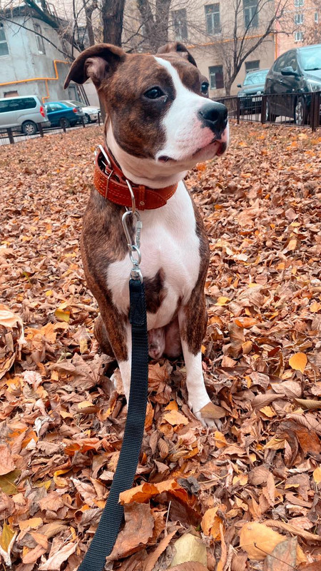 C3CF75D4-B3AC-4985-8F35-DD800E87D48C