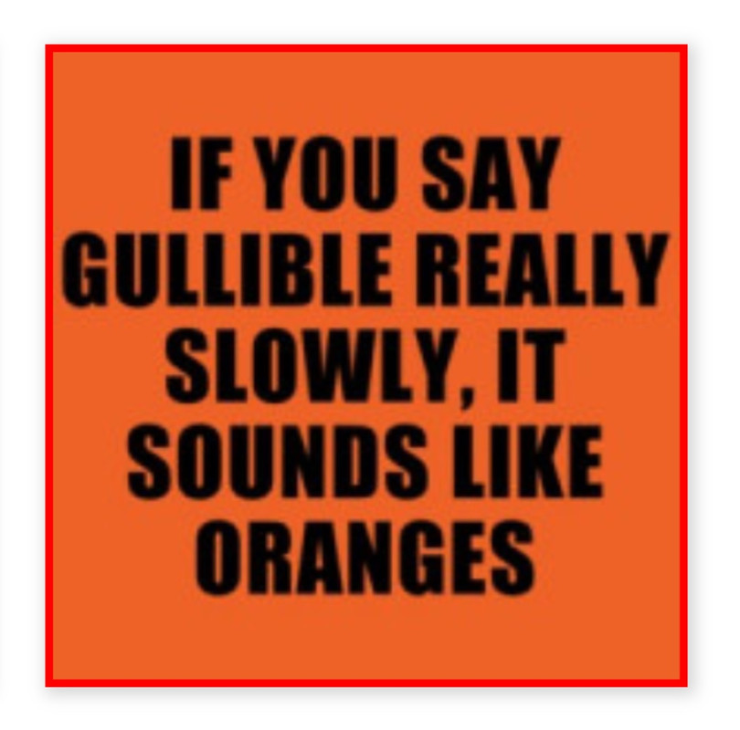 1562E224-CF64-40EB-A5BE-C9ED2F8E3901