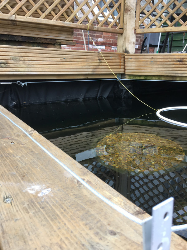 443C9E3A-9423-44C9-837D-1386BF138BE5