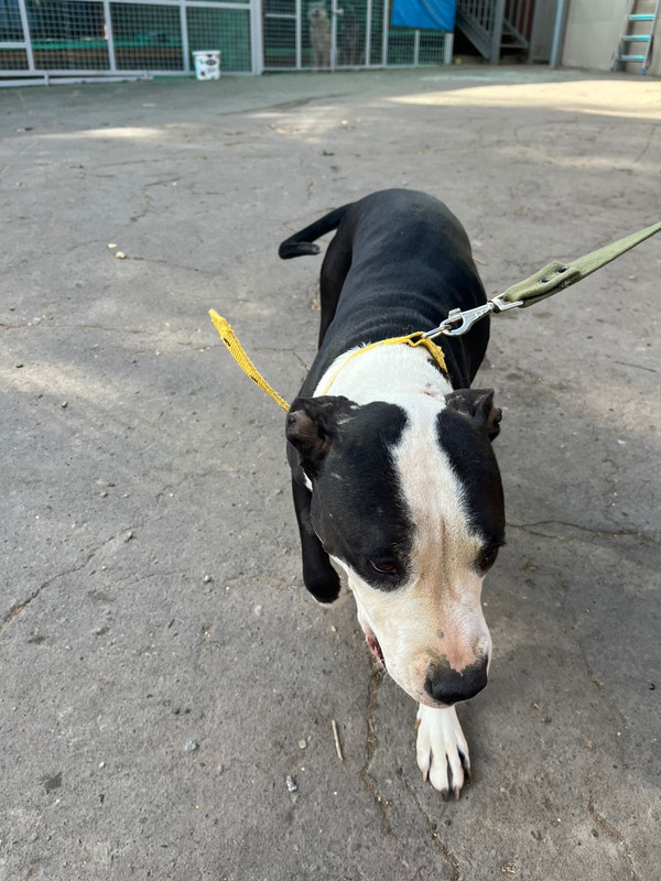 WhatsApp Image 2022-09-13 at 13.03.11 (1)