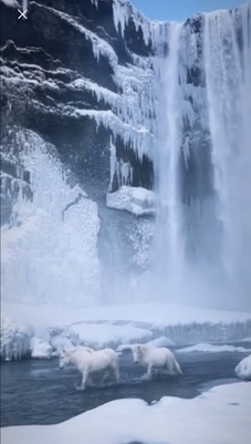 Winter-Horses-Ice-Waterfall