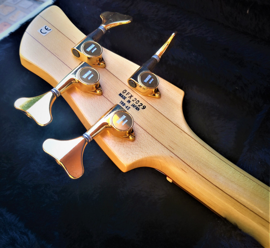 IMG-20201201-121527-1.jpg