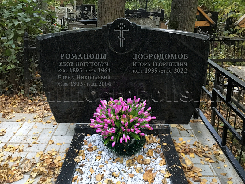 dobrodomov
