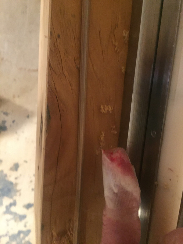 6DAC62CA-FE18-4735-BFB8-CAD59408E615