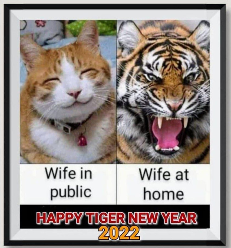 [Image: 273153179-4794332517326146-1753767454271810478-n.jpg]