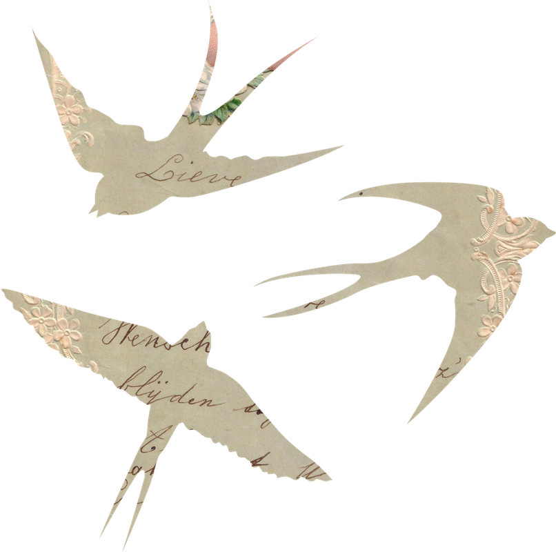 BIBI-PINK ANGEL ELEMS (8)