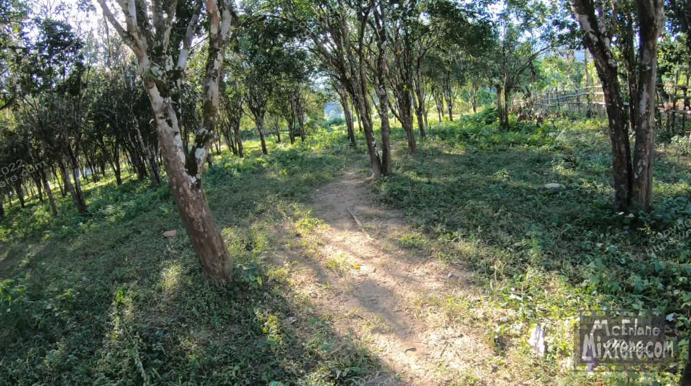 BBG&B23PasighatAndAalo - 10