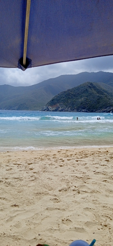 IMG_20220412_105638_1