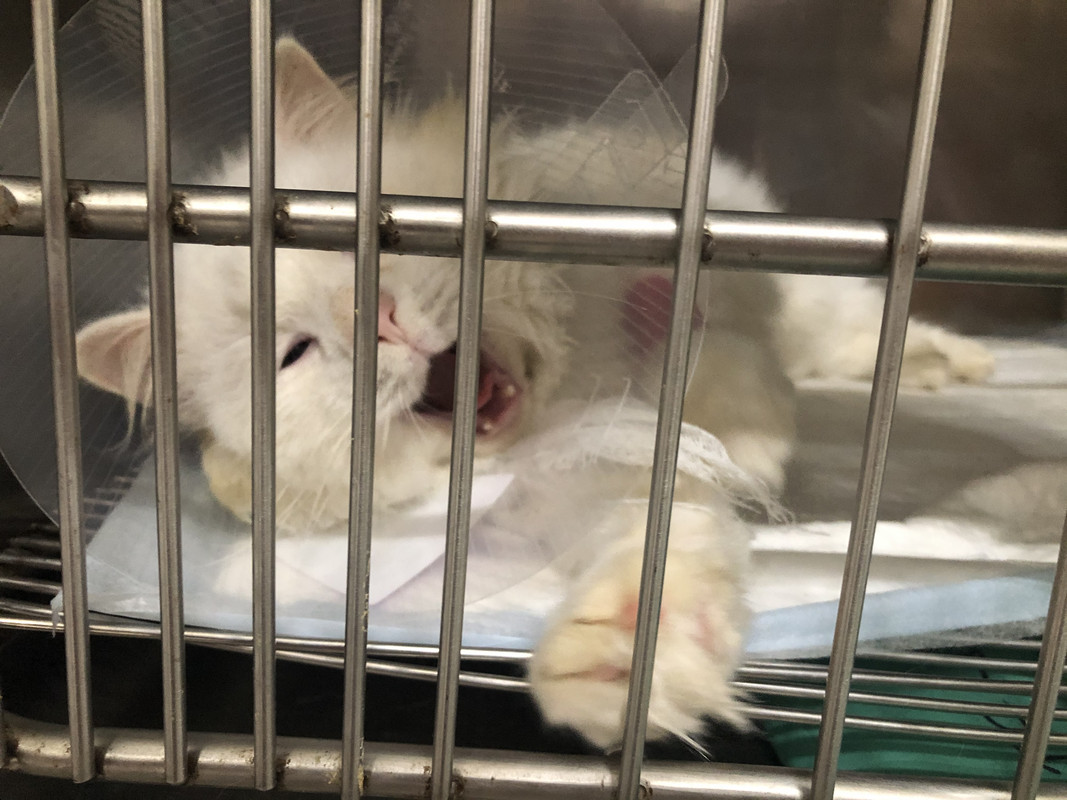 AF91BFAA-29BE-453E-96A0-4230402C04CD