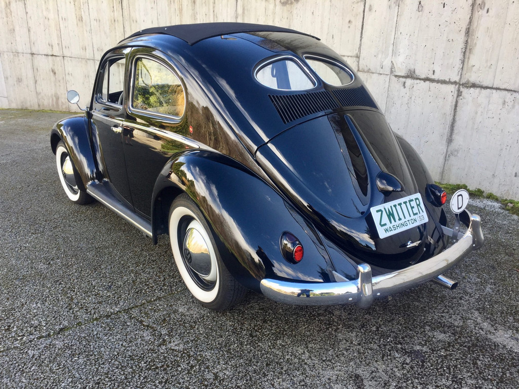 0 53 beetle 2