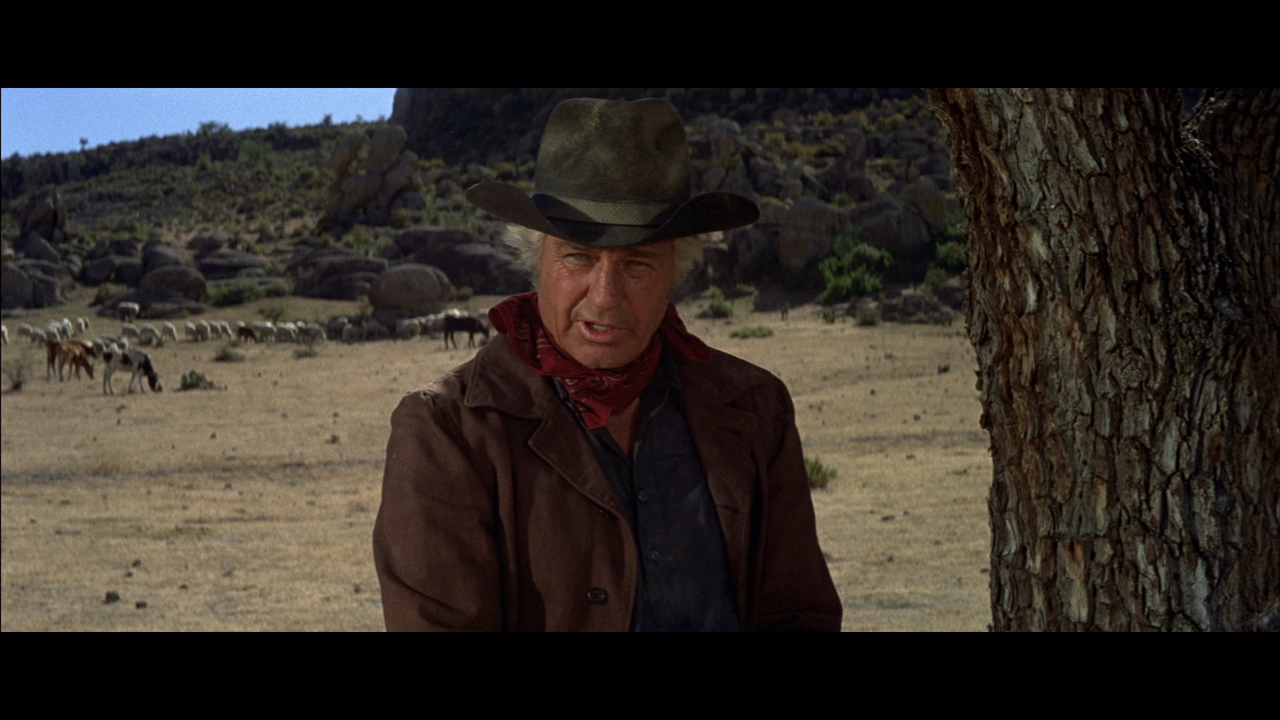 vlcsnap-2023-11-03-15h26m00s346