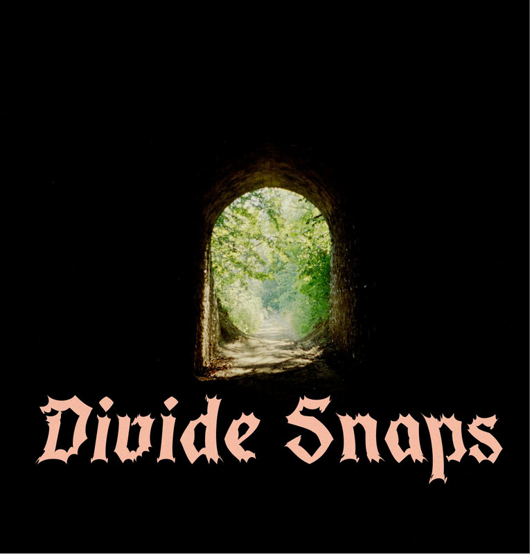 Divide Snaps