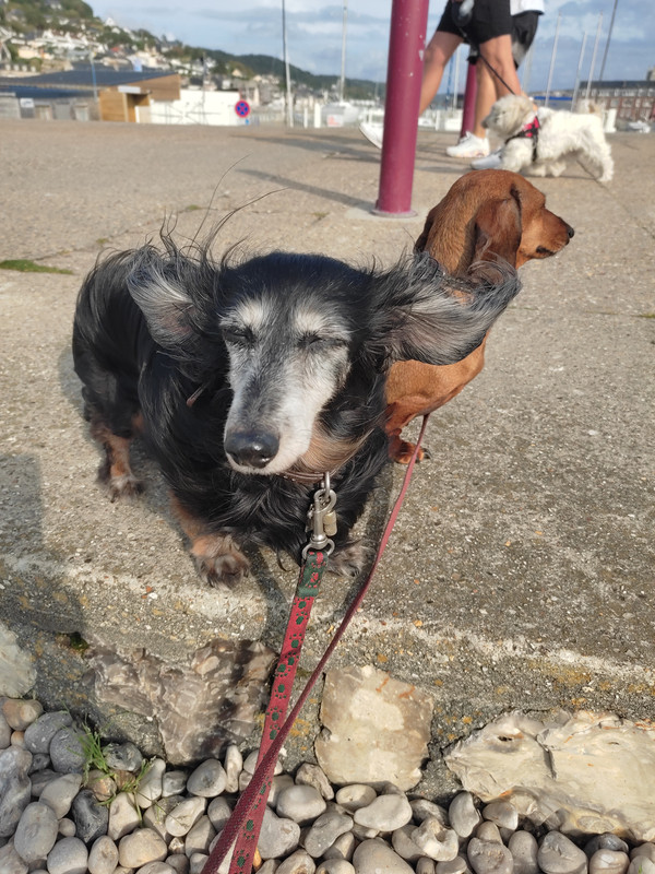 [Image: IMG-20240820-181010.jpg]