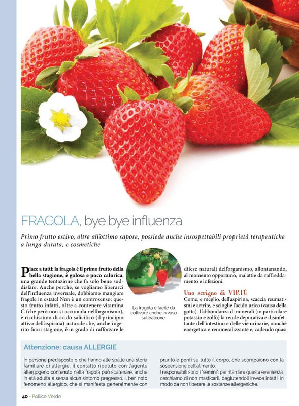 Pol Ver Mag 2022 (5)