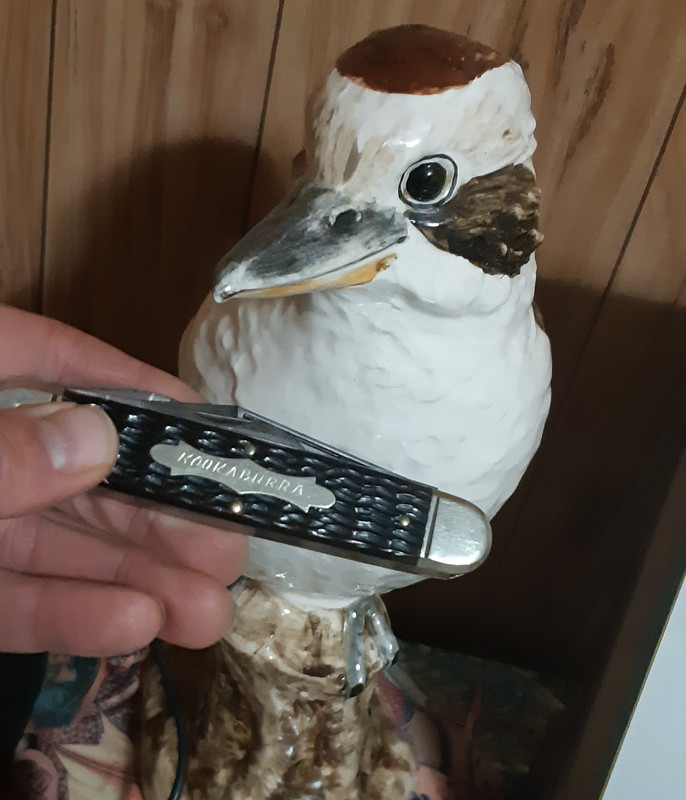 20190710-183151.jpg