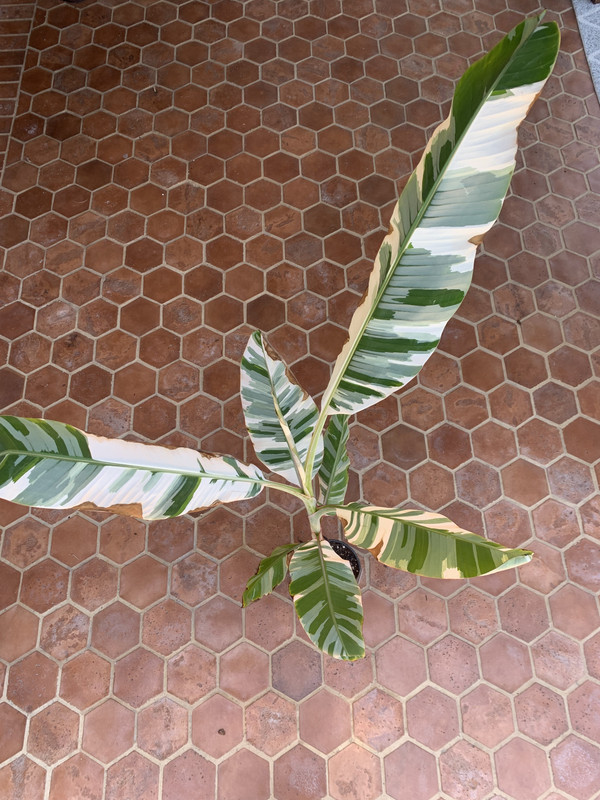 E16122C9-7F2C-4657-9E7C-639CEA69CCC8