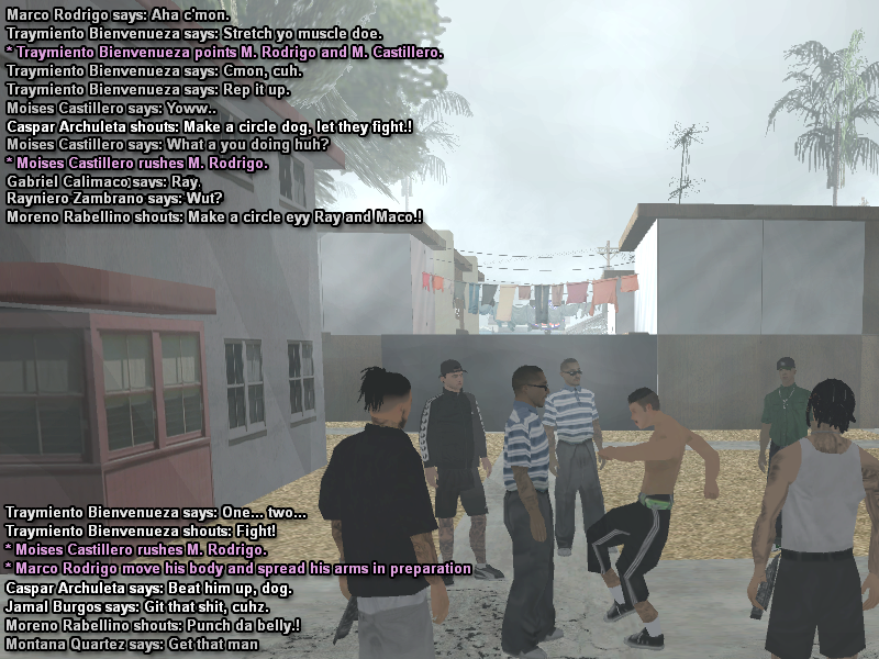 SS5.png