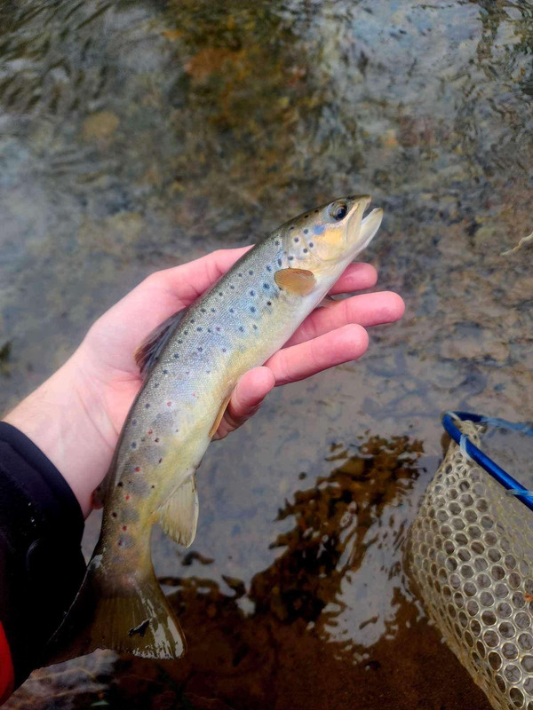 Facebook_creation_2060563552323