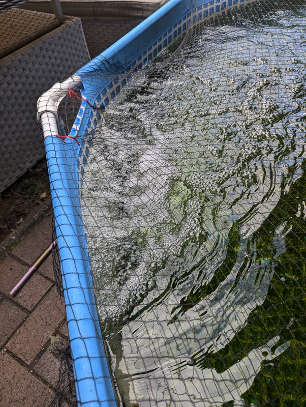 PXL_20240824_130014821.MP