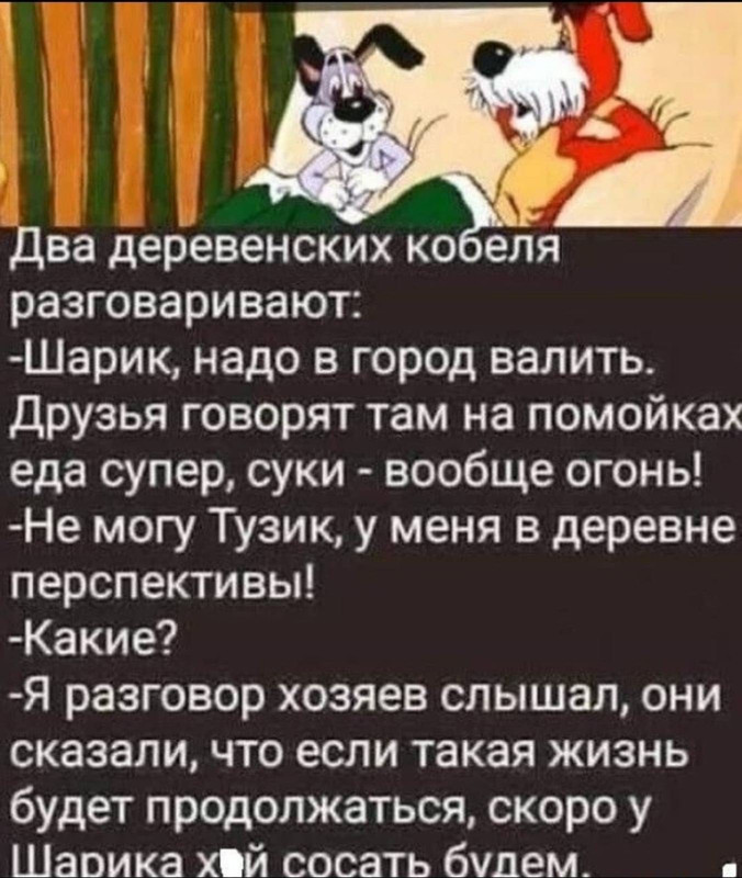 всё хуёво шарик е_viber_2021-08-11_20-20-32