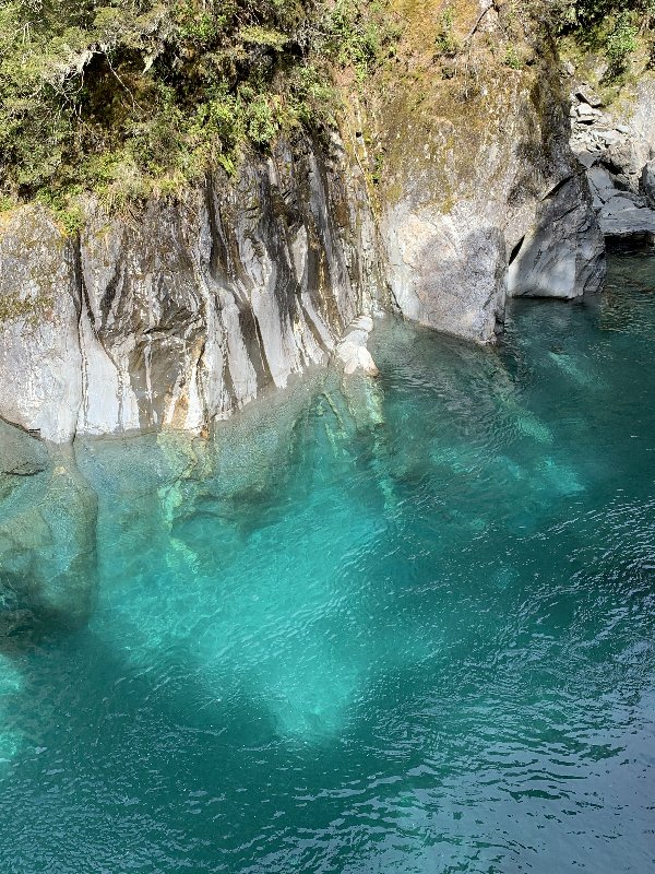Nueva Zelanda: La primavera Kiwi nos fue marcando la ruta - Blogs de Nueva Zelanda - Haast-Wanaka-Arrowtown-Queenstown (2)