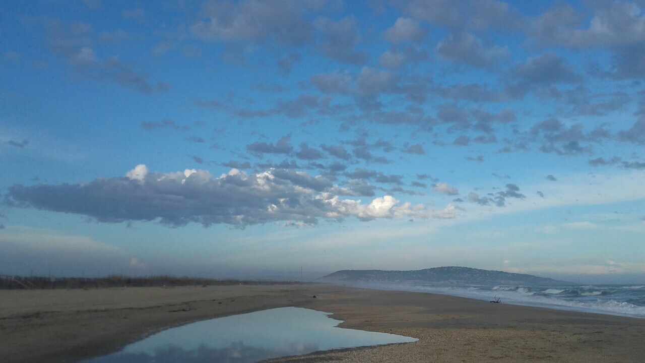 F6B4BD4F-D559-4E39-8C1D-3A28484D227B