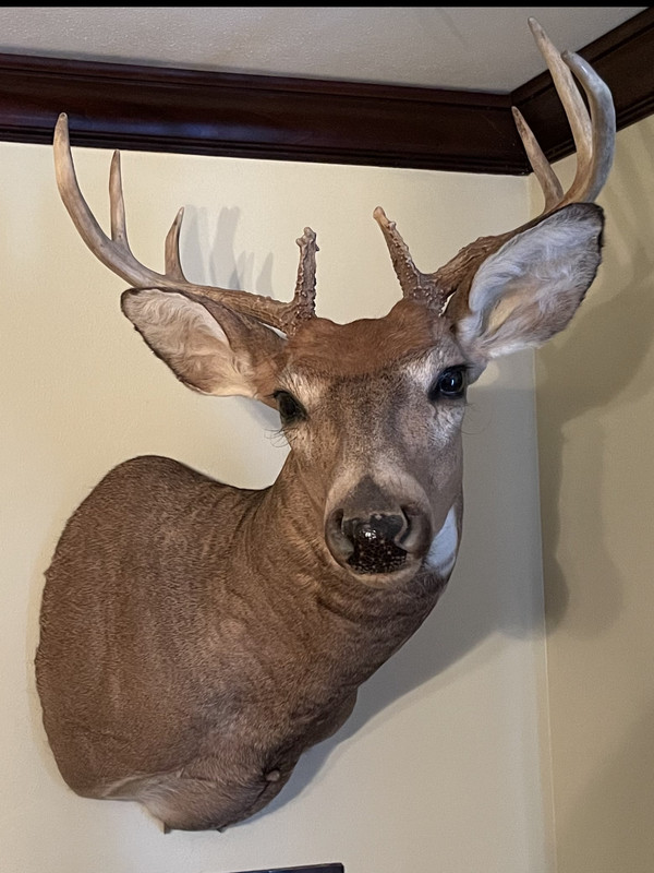 752F0B16-7872-4124-8179-864D2CBF0653