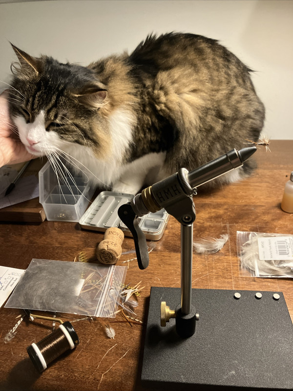 111C9281 021F 4A46 A515 563BD475F095