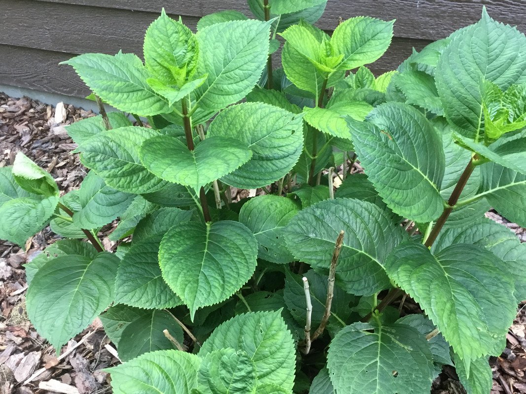 7B284974-397E-49DF-B770-680F6ECF1D60