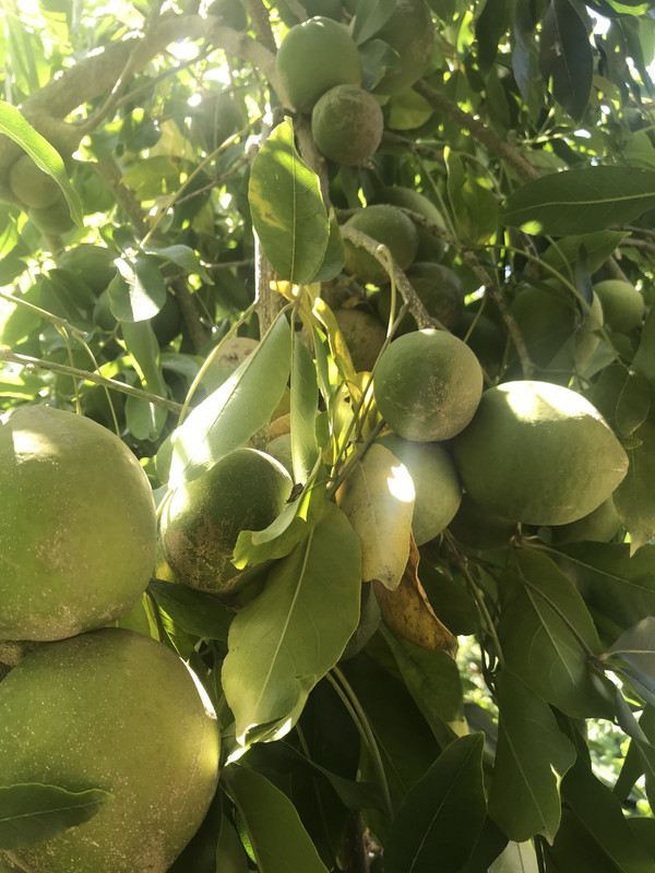 DBAEB789-8081-4E53-914A-6F1F964AD947