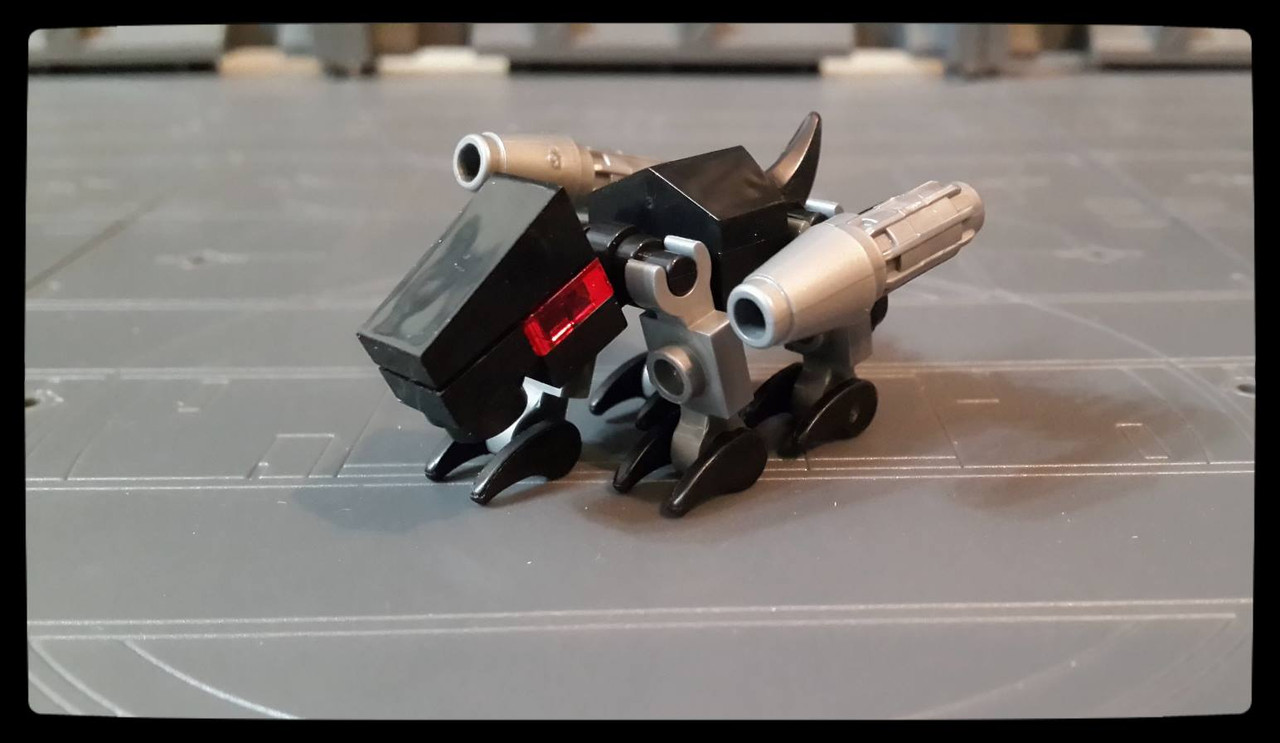 10943749_10202741037042055_4263296274264741681_o