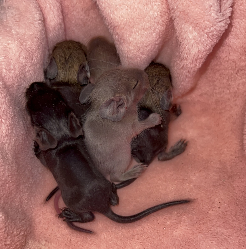 DC4731F9-F108-484D-A03B-024911EACA8F